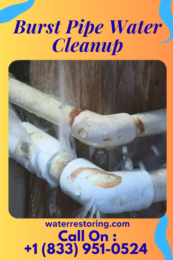 Burst Pipe Water Cleanup in Knoxville, PA