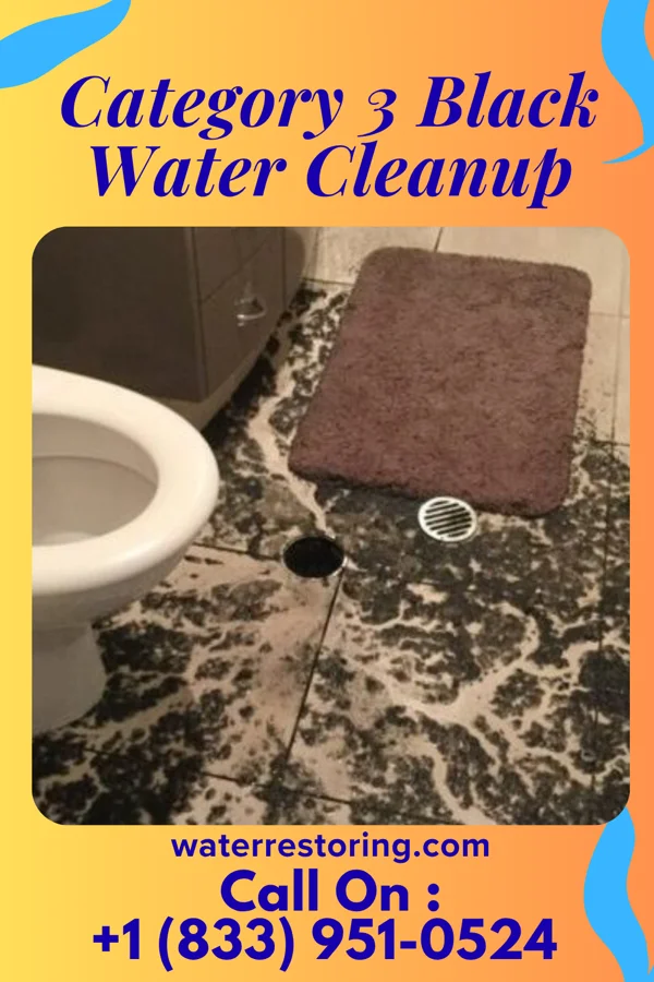 Category 3 Black Water Cleanup in Knoxville, PA