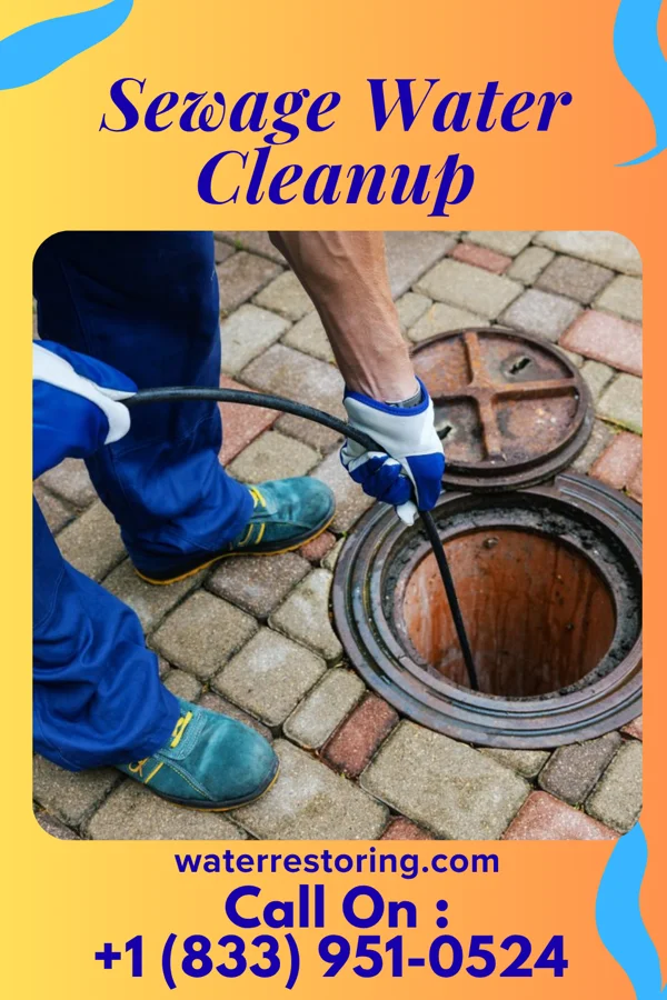Sewage Water Cleanup in Knoxville, PA